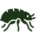 flea icon