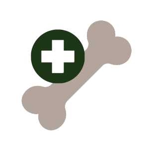 doodle-style icon of a light brown bone with a dark green medical symbol in front of it