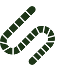 roundworm icon