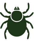 tick icon