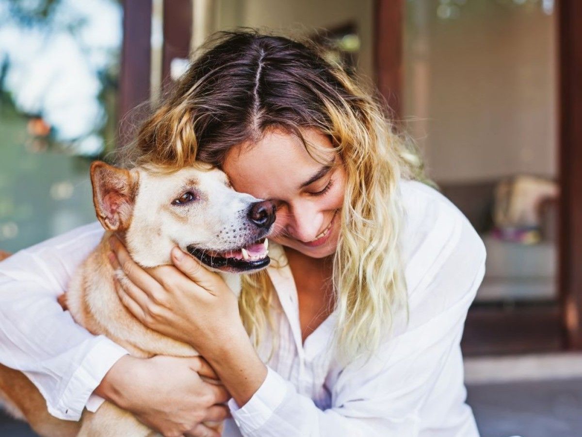 A-person-is-hugging-their-dog-while-sitting-on-a-porch1 A person is hugging their dog while sitting on a porch