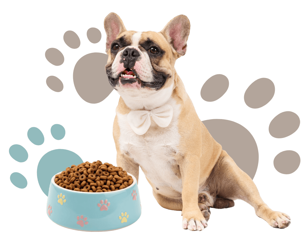dog with a food bowl in front of paw print background
