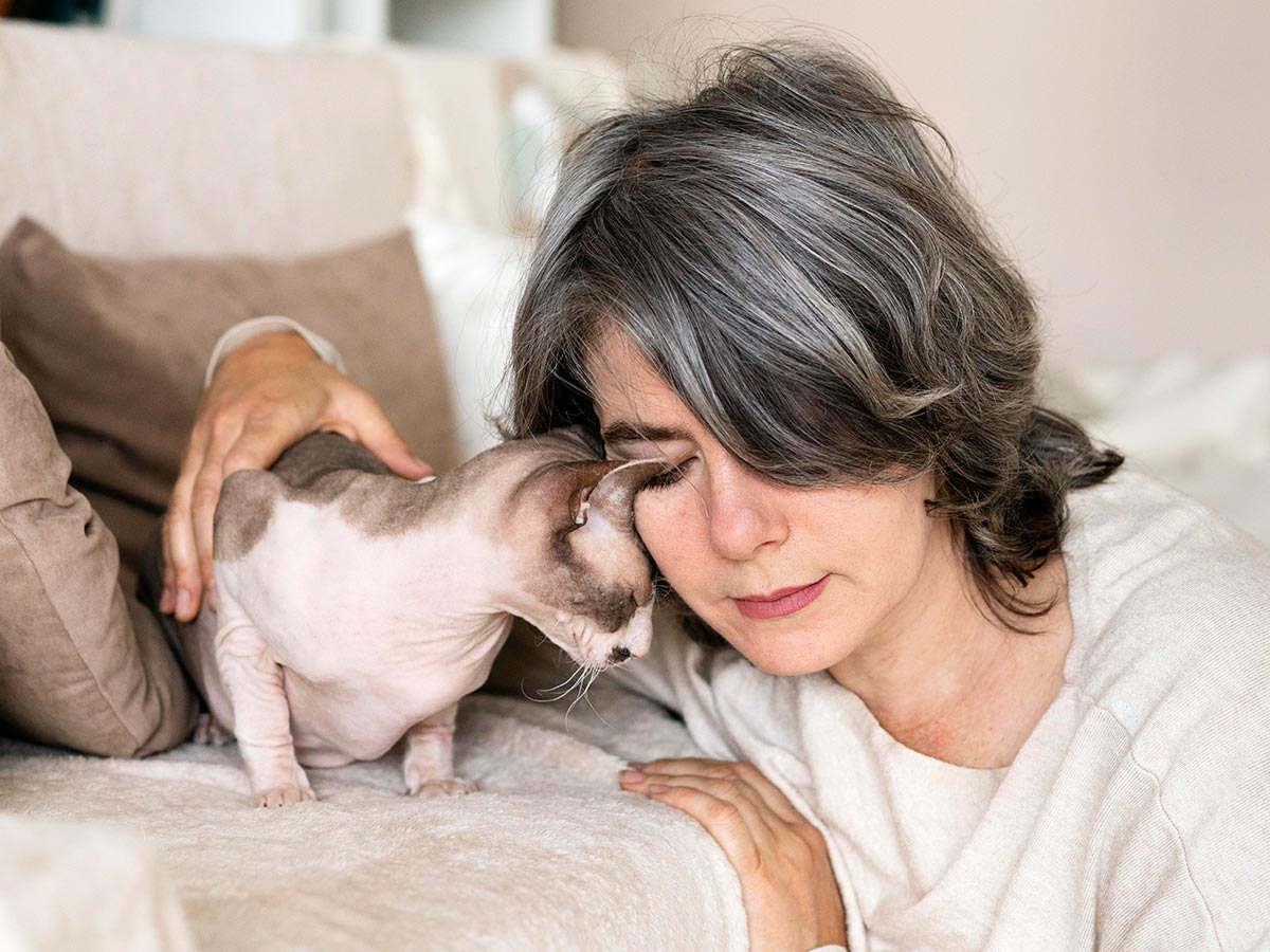 cat peacefully nuzzling owner's face at home
