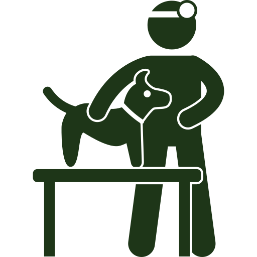 hip and knee surgery