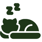 sleeping cat