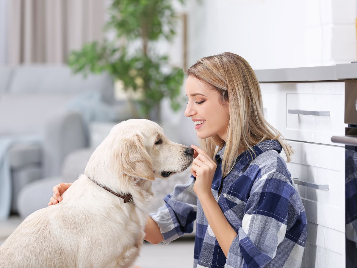 white dog with girl white dog with girl