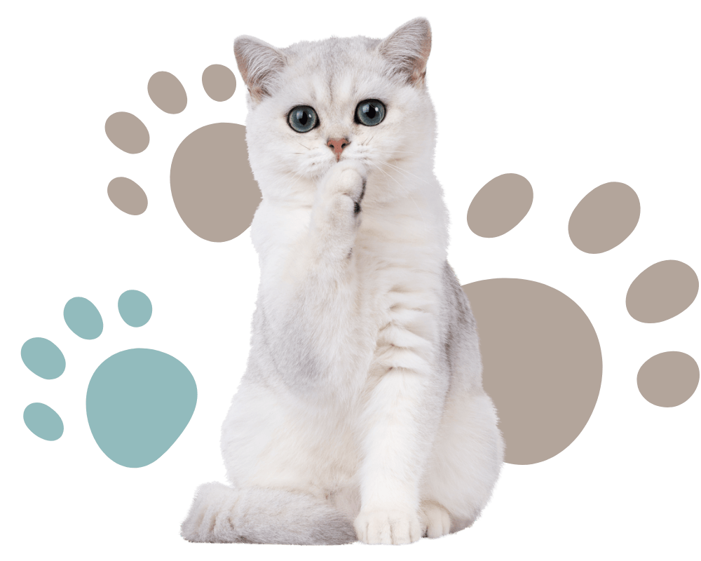 Custom label products